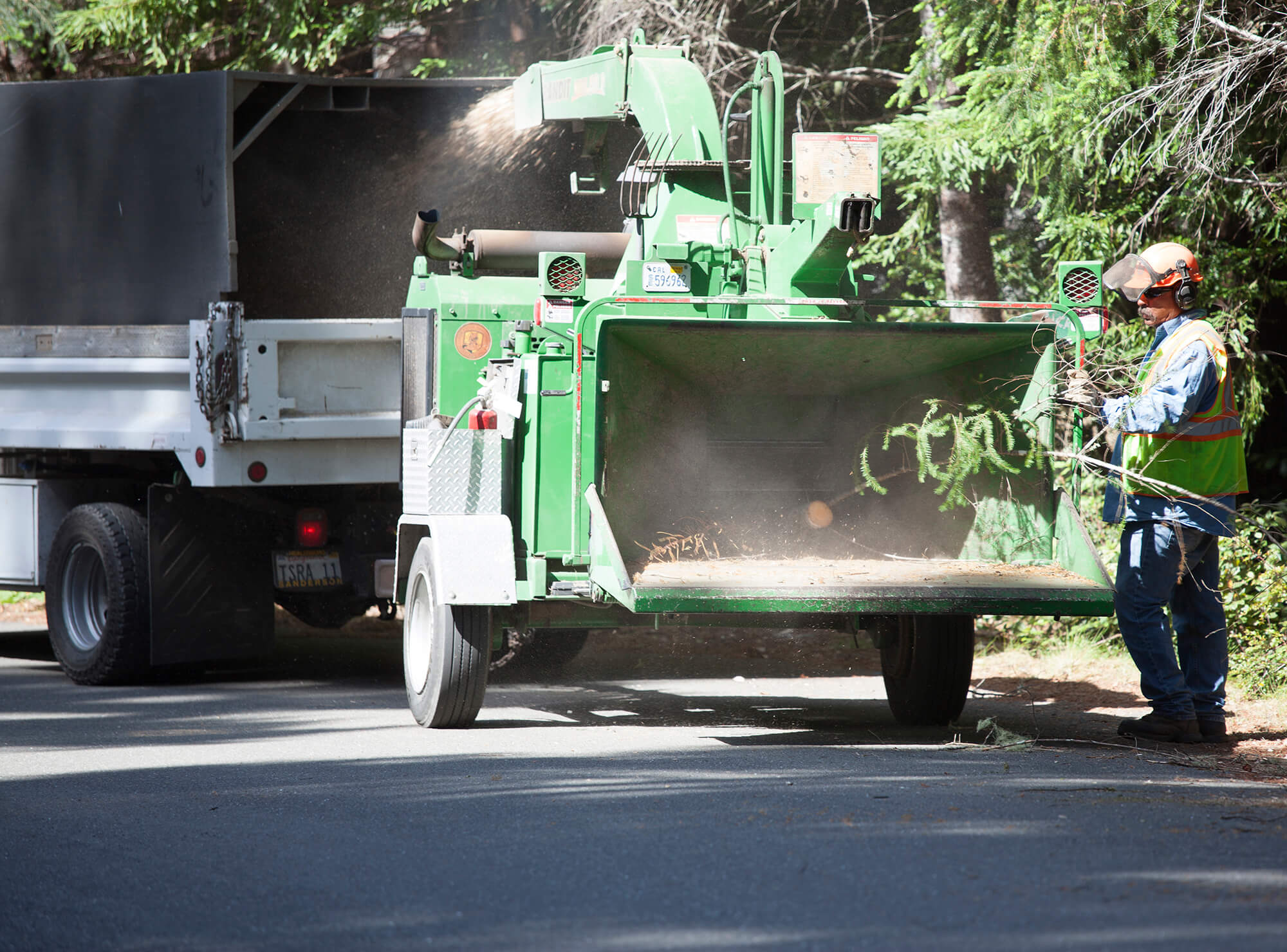 Affordable Brush Chipping Service Tree Removal Service Plymouth Ma