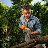 The 5 common mistakes made by homeowners when tree trimming