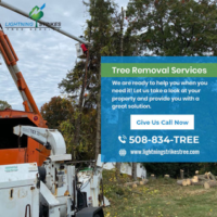 SITUATIONS REQUIRING EMERGENCY TREE REMOVAL