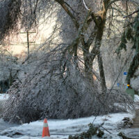 Get A Head Start On Spring Cleaning By Clearing Your Yard Of Winter Debris Now